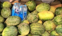 大连布车吃瓜,一场夏日吃瓜盛宴的街头传奇