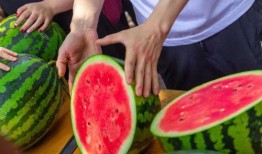 学校时的吃瓜,那些年我们一起吃瓜的日子