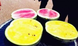 几月份吃小瓜,每月精选美味指南