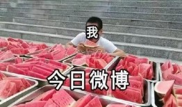 吃瓜案子,一起惊心动魄的悬疑案件