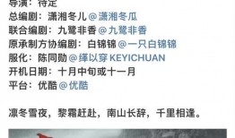 理性吃瓜的文明,揭秘网络舆论场的智慧之道