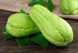 吃生瓜生的好吃