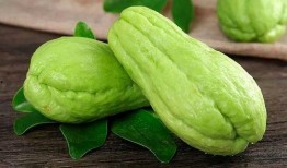 吃生瓜生的好吃