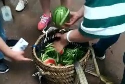 吃小瓜打沾水,夏日清凉美食之旅