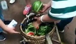 吃小瓜打沾水,夏日清凉美食之旅