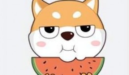 吃瓜小柴,揭秘娱乐圈那些不为人知的幕后故事