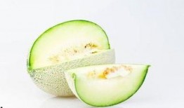 雅小姐吃哈密瓜,雅小姐的哈密瓜美食之旅