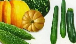 吃瓜老祖,揭秘娱乐圈那些不为人知的幕后故事