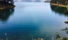 浙江旅游职业吃瓜,吃瓜之余，品味地方特色美食之旅