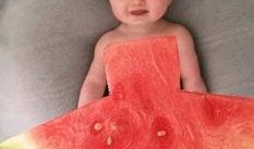 黯淡星吃瓜版,揭秘吃瓜版背后的娱乐风云