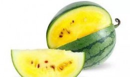 自己在家吃瓜好吗,乐享悠闲时光