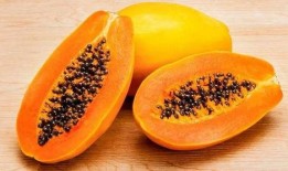 夏天吃瓜秋天,跟随季节品尝时令美味