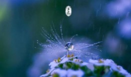 寒露吃瓜好吗,吃瓜是否适宜？