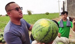 718.st 吃瓜,一场吃瓜群众的狂欢盛宴