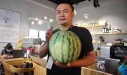 吃瓜直播卖手链,吃瓜群众见证手链热销传奇