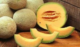 喜欢吃哈密瓜,探寻美味背后的秘密
