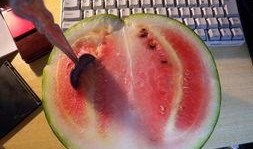 瓜哥吃席,一场别开生面的美食盛宴