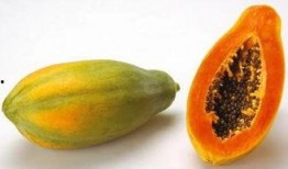 吃瓜会胃酸吗,揭秘夏日消暑美食背后的健康隐患