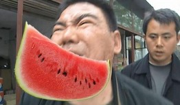 吃瓜河南录音,一场网络录音引发的舆论风暴