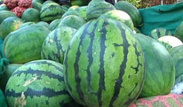 圆形的瓜怎样吃