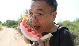 带你吃瓜奇葩模型,带你吃瓜奇葩模型背后的奇妙世界