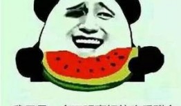 甘做吃瓜群众,揭秘网络围观背后的社会现象