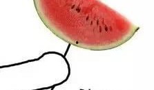 恐怖的吃瓜图片高清,揭秘恐怖吃瓜瞬间