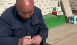 云南大爷大妈吃瓜图片,共享夏日清凉时光