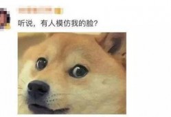 吃瓜小柴,揭秘娱乐圈那些不为人知的幕后故事