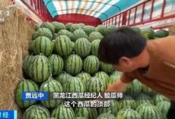 吃瓜的钱某,吃瓜群众的逆袭之路