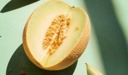 开颅手术可以吃哈密瓜吗,哈密瓜的适宜性探讨