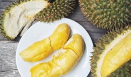 吃榴莲还有哈密瓜,热带与沙漠的甜蜜邂逅