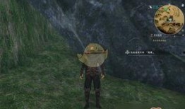 河洛洛吃瓜速度