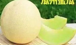 吃瓜频道名字怎么取,一场舌尖上的美食盛宴