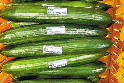 餐厅小瓜怎么吃,餐厅里的创意小瓜料理