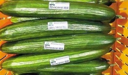 餐厅小瓜怎么吃,餐厅里的创意小瓜料理