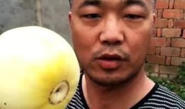 甜甜请吃瓜,一场甜蜜的瓜分盛宴