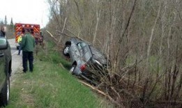 蜘蛛感应车祸吃瓜,揭秘车祸背后的神秘“吃瓜”现象