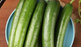 餐厅小瓜怎么吃,餐厅里的创意小瓜料理