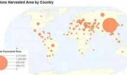 吃瓜群众最初来源,揭秘“吃瓜”一词的演变历程