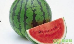 女人吃茄瓜好吗