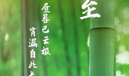 夏至请你们吃瓜,共享瓜果香，共度欢乐时