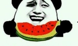 吃瓜群众真实模式,吃瓜群众视角下的明星幕后故事