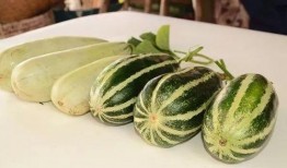 网红泡泡吃瓜,揭秘娱乐圈吃瓜背后的真相