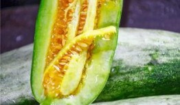 网红泡泡吃瓜,揭秘娱乐圈吃瓜背后的真相