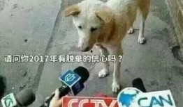 卧槽吃瓜的视频,揭秘热门视频背后的惊人真相