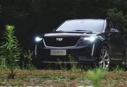 凯迪拉克销售吃瓜视频,一场别开生面的汽车营销秀