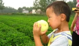 咔嚓吃瓜,揭秘娱乐圈那些不为人知的幕后故事