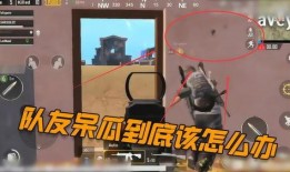 吃鸡中发现呆瓜,呆瓜奇遇记