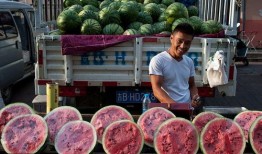 吃瓜群众青岛,吃瓜群众的美食盛宴与休闲天堂